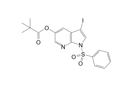 3-Iodo-1-phenylsulfonyl-1H-pyrrolo[2,3-b]pyridin-5-yl pivalate