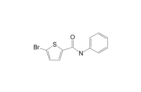 5-bromo-N-phenylthiophene-2-carboxamide