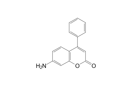 7-amino-4-phenylcoumarin