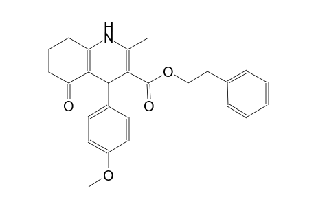 2-phenylethyl 4-(4-methoxyphenyl)-2-methyl-5-oxo-1,4,5,6,7,8-hexahydro-3-quinolinecarboxylate