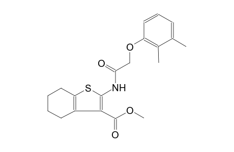 benzo[b]thiophene-3-carboxylic acid, 2-[[(2,3-dimethylphenoxy)acetyl]amino]-4,5,6,7-tetrahydro-, methyl ester