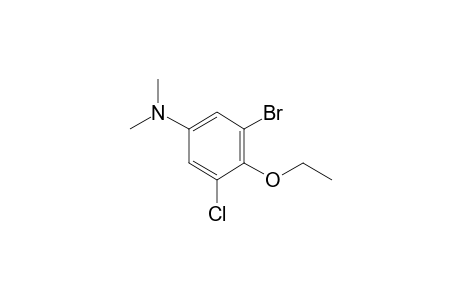 3-Bromo-5-chloro-4-ethoxyaniline, N,N-dimethyl-