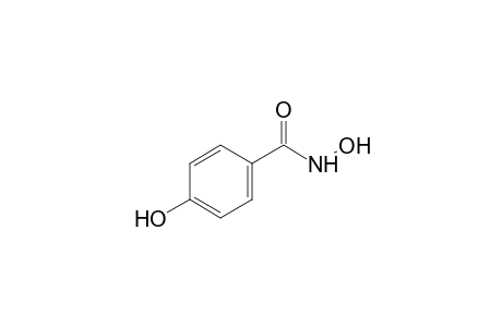 p-hydroxybenzohydroxamic acid