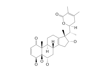 TUBOCAPSENOLIDE_F