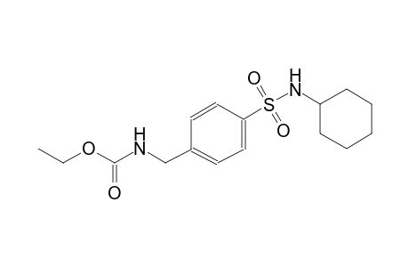 ethyl 4-[(cyclohexylamino)sulfonyl]benzylcarbamate
