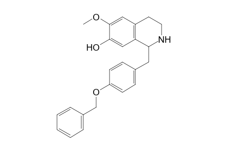 (+/-)-1-(4-Benzyloxybenzyl)-7-hydroxy-6-methoxy-1,2,3,4-tetrahydroisoquinoline