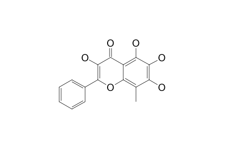ISOPLATANIN;8-C-METHYL-5,6,7-TRIHYDROXY-FLAVONOL