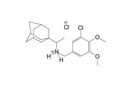 1-(1-adamantyl)-N-(3-chloro-4,5-dimethoxybenzyl)ethanaminium chloride