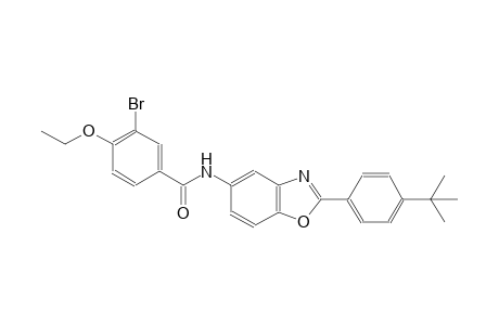 benzamide, 3-bromo-N-[2-[4-(1,1-dimethylethyl)phenyl]-5-benzoxazolyl]-4-ethoxy-