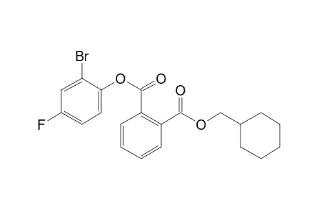 Phthalic acid, 2-bromo-4-fluorophenyl cyclohexylmethyl ester