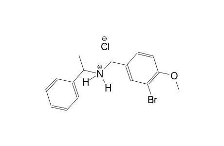 N-(3-bromo-4-methoxybenzyl)-1-phenylethanaminium chloride