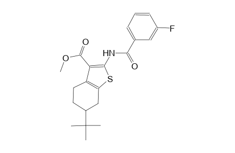 benzo[b]thiophene-3-carboxylic acid, 6-(1,1-dimethylethyl)-2-[(3-fluorobenzoyl)amino]-4,5,6,7-tetrahydro-, methyl ester