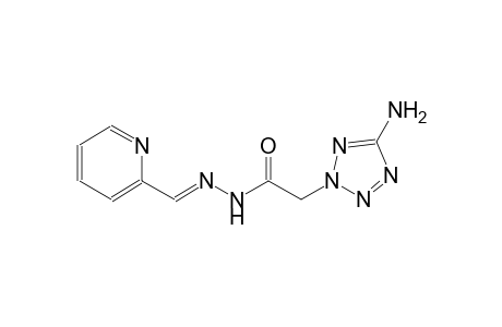 2-(5-amino-2H-tetraazol-2-yl)-N'-[(E)-2-pyridinylmethylidene]acetohydrazide