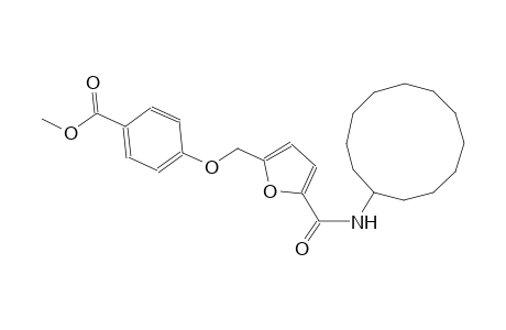 methyl 4-({5-[(cyclododecylamino)carbonyl]-2-furyl}methoxy)benzoate