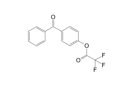 4-Hydroxybenzophenone TFA
