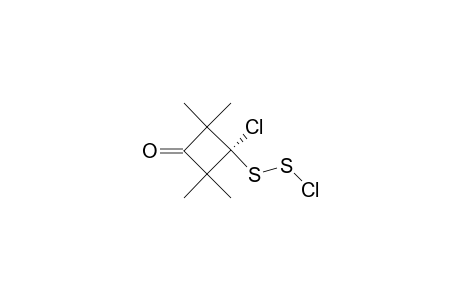 3-CHLORO-3-(CHLORODISULFANYL)-2,2,4,4-TETRAMETHYLCYCLOBUTANONE