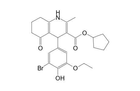 3-quinolinecarboxylic acid, 4-(3-bromo-5-ethoxy-4-hydroxyphenyl)-1,4,5,6,7,8-hexahydro-2-methyl-5-oxo-, cyclopentyl ester