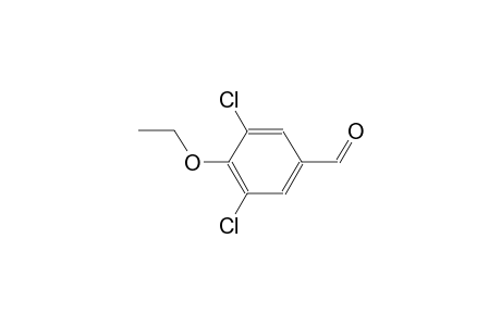 3,5-dichloro-4-ethoxybenzaldehyde