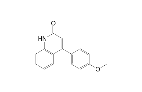 4-(4-Methoxyphenyl)-1H-quinolin-2-one