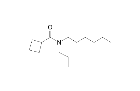 Cyclobutanecarboxamide, N-propyl-N-hexyl-