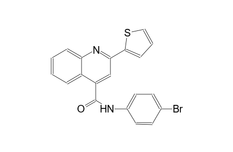 4-quinolinecarboxamide, N-(4-bromophenyl)-2-(2-thienyl)-