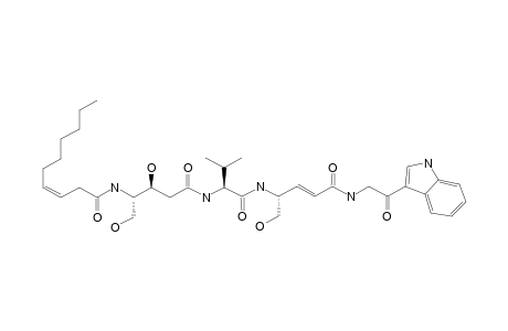 THALASSOSPIRAMIDE-G