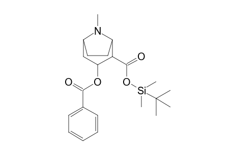 Cocaine-M (benzoylecgonine) TBDMS