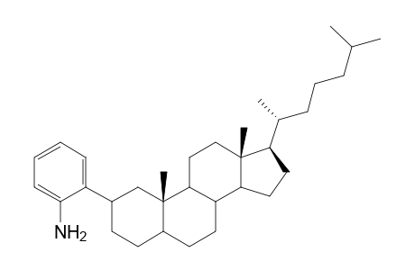 2-Cholestan-2-ylaniline