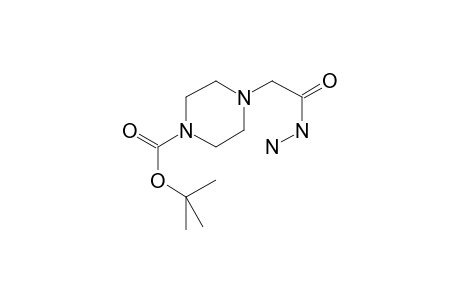 Tert-butyl 4-[(hydrazinecarbonyl)methyl]piperazine-1-carboxylate