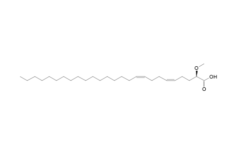 (2R,5Z,9Z)-2-Methoxyhexacosa-5,9-dienoic acid