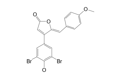 RUBROLIDE_P