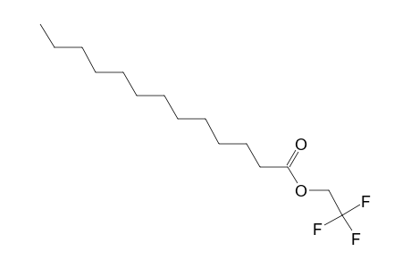 Tridecanoic acid, 2,2,2- trifluoroethyl ester