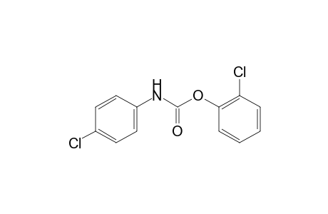 p-chlorocarbanilic acid, o-chlorophenyl ester