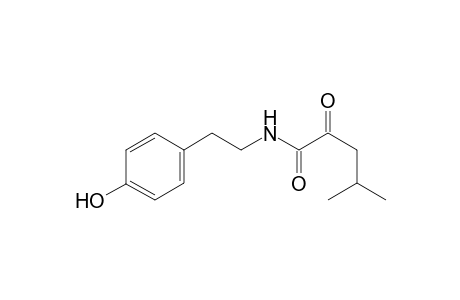 N-[2-(4-Hydroxyphenyl)ethyl]-4-methyl-2-oxopentanamide