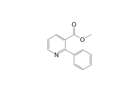 Methyl 2-phenylpyridine-3-carboxylate
