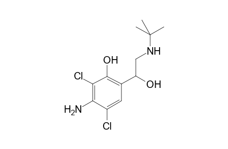 Clenbuterol-M (HO-aryl) MS2