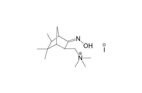 3-exo-(trimethylamonium)methyl-5,5,6-trimethylbicyclo[2.2.1]heptan-2-oxime iodide