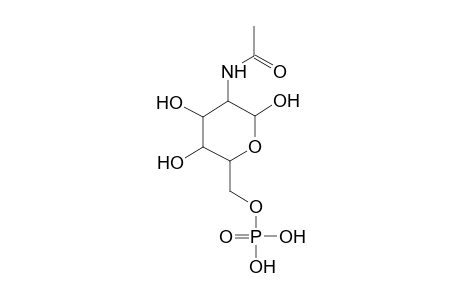 N-Acetyl-D-glucosamine 6-phosphate