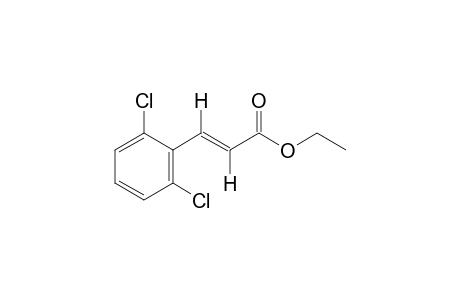 trans-2,6-dichlorocinnamic acid, ethyl ester