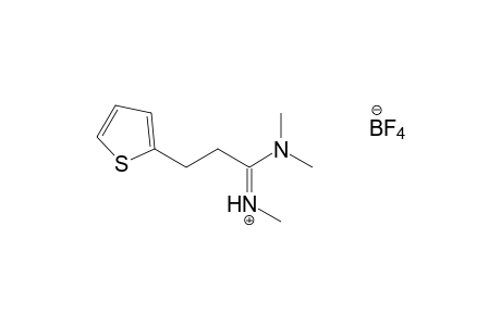 hydrogen tetrafluoroborate, compound with N,N,N'-trimethyl-2-thiophenepropionamidine(1:1)