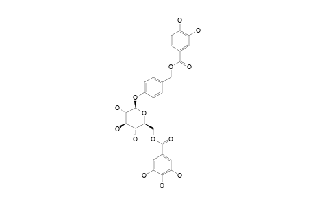 AMBUROSIDE-C;4-O-BETA-D-(6''-O-GALLOYL-GLUCOPYRANOSYL)-BENZYL-PROTOCATECHUATE