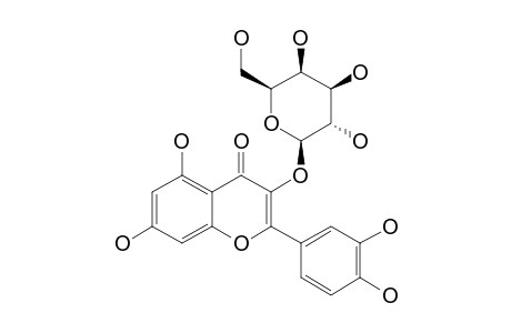 QUERCETIN-3-O-GALACTOPYRANOSIDE