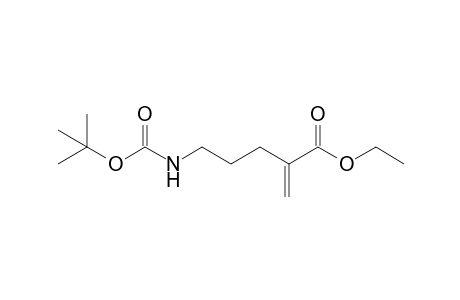 2-Methylene-5-[[(2-methylpropan-2-yl)oxy-oxomethyl]amino]pentanoic acid ethyl ester