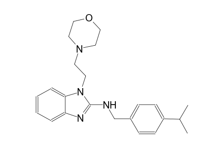 N-(4-isopropylbenzyl)-1-[2-(4-morpholinyl)ethyl]-1H-benzimidazol-2-amine