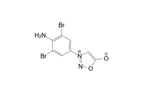 3-(4'-Amino-3',5'-dibromophenyl)sydnone