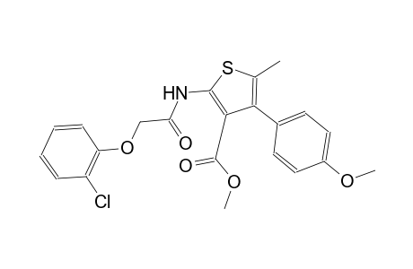 methyl 2-{[(2-chlorophenoxy)acetyl]amino}-4-(4-methoxyphenyl)-5-methyl-3-thiophenecarboxylate