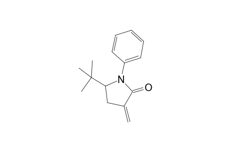 5-tert-Butyl-3-methylene-1-phenyl-2-pyrrolodinone