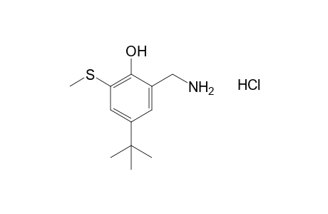 alpha-AMINO-4-tert-BUTYL-6-(METHYLTHIO)-o-CRESOL, HYDROCHLORIDE