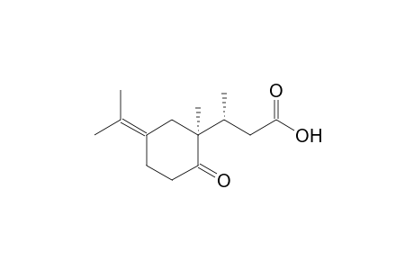 (3R,1S)-(-)-3-(5-Isopropylidene-1-methyl-2-oxocyclohexyl)butyric acid