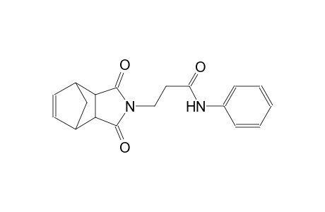 3-(1,3-dioxo-3a,4,7,7a-tetrahydro-1H-4,7-methanoisoindol-2(3H)-yl)-N-phenylpropanamide
